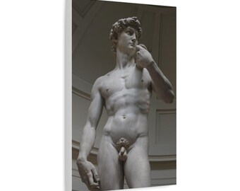 Michelangelo David Statue Matte Canvas 1 of 5 in series