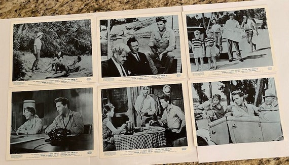 コレクション california dreaming (RARE!!lobby card!!) コレクション california dreaming (RARE!!lobby card