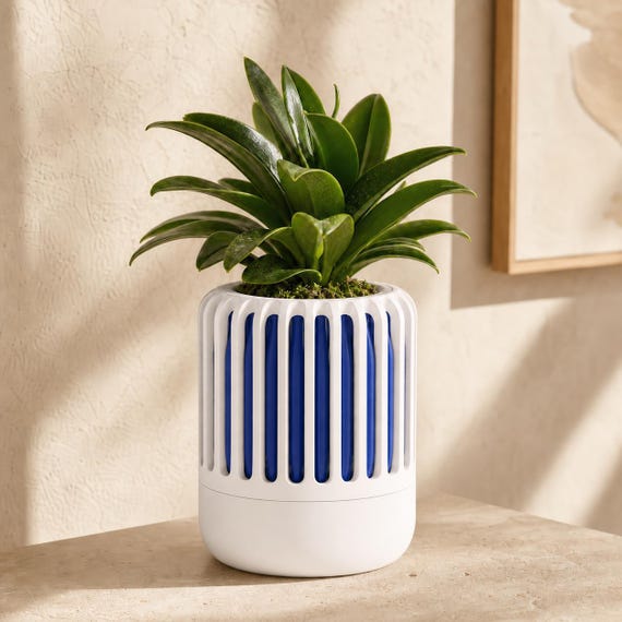 BreezeCage Orchid Pot, close-up of the Airloom modern planter in White and Cobalt Blue Cobalt Porcelain colors