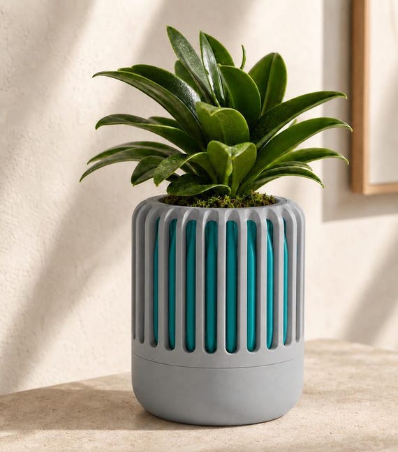 BreezeCage Ventilated Orchid Pot with Drip Basin, Airflow Cachepot for Indoor Plant Shelf or Windowsill