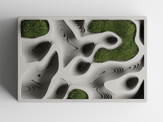 Overhead view of the Mapwell Organizer Tray tray styled with dry green moss in selected recessed areas