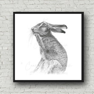 Hare wall art; brown hare print; funny hare; cute hare kitchen art; animal wall art; square animal print; uk wildlife art; black white print