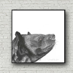 Bear wall art; brown bear drawing; bear print; bear lover; bear fine art; animal wall art print; wild mammal art; black white illustration;