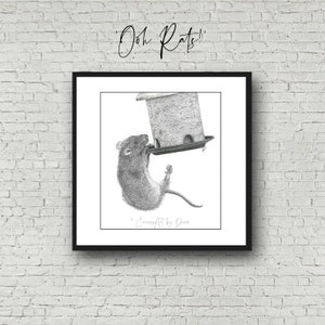 Ooh Rats; rat wall art; rat illustration; rat lover; funny rat art; fine art rat drawing; rat art print; cute mouse; cut rat wall art print