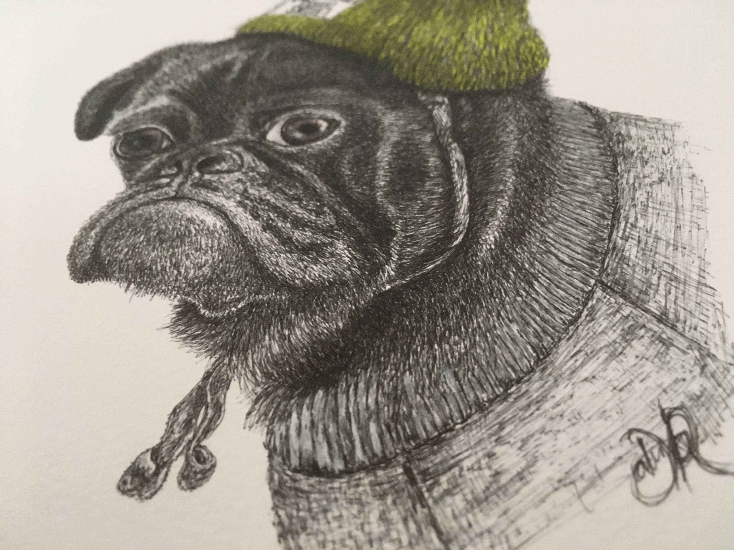 Dog Pen And Ink Drawings