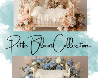 Infant Photography / Petite Bloom Collection