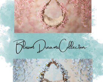 Infant Photography / Blossom Dreams Collection