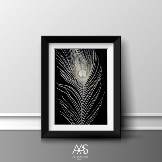 White Peacock Feather Portrait on Black Background. INSTANT - Etsy