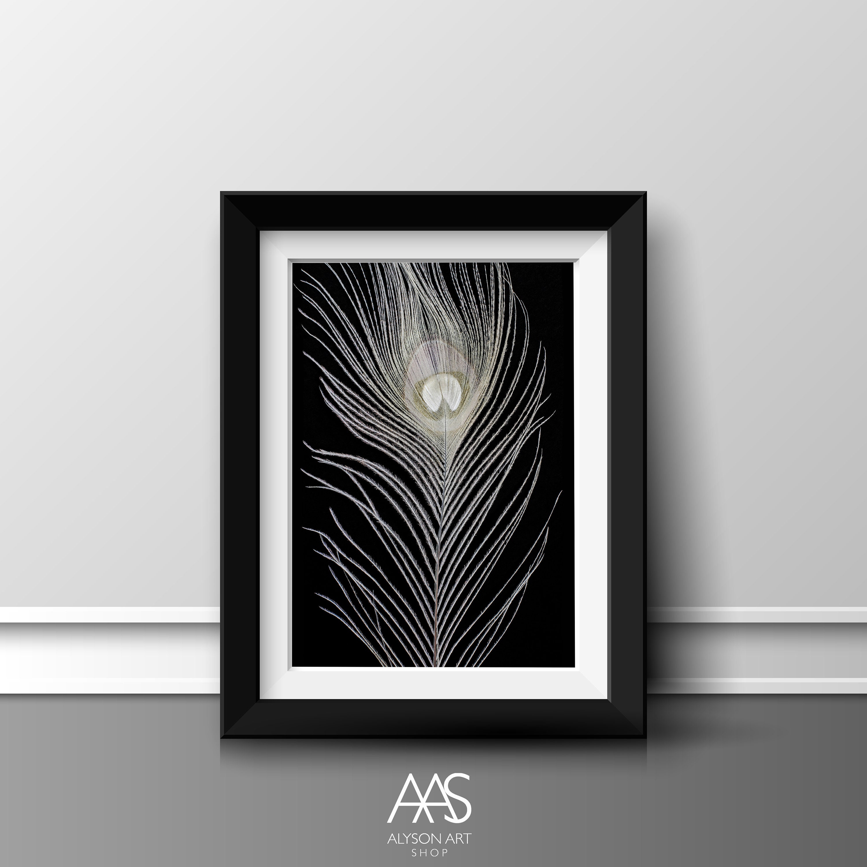 White feather isolated on black background, Posters, Art Prints, Wall  Murals