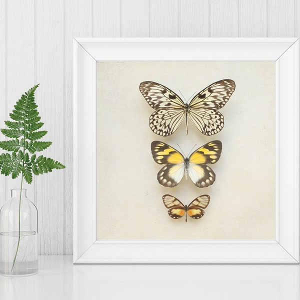 Three Butterflies on Beige Square INSTANT DOWNLOAD