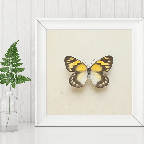 Golden Delius Butterfly on Beige Square INSTANT DOWNLOAD