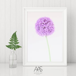 Pastel Allium Flower&#39; INSTANT DOWNLOAD Hi-Res Jpeg Photographic File  Printable at Home