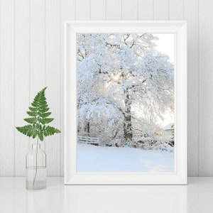 Brand New &#39;Snow Tree&#39; INSTANT DOWNLOAD Printable Fine Art Photograph