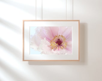 Pink Tree Peony Flower Closeup 'INSTANT DOWNLOAD'