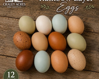 12 Rainbow Barnyard Mix Eggs | Mixed Flock | Unwashed | Craley Acres