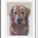 see more listings in the Portraits animaliers section