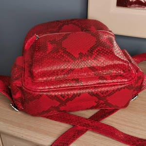 May include: A bright red backpack featuring a textured snakeskin pattern throughout. The bag includes a front zippered pocket with a silver-toned metal zipper and the text FanzReptile embossed on the front panel. It has adjustable shoulder straps.