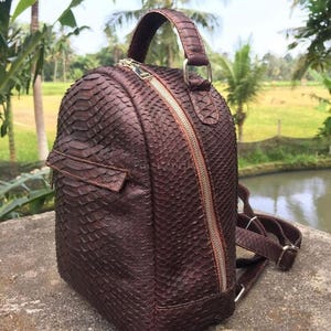 K&ouml;nnte beinhalten: Ein dunkelbrauner Rucksack mit texturiertem Schlangenledermuster. Die Tasche verf&uuml;gt &uuml;ber einen Tragegriff, einen vertikalen silberfarbenen Rei&szlig;verschluss an der Seite und eine kleinere horizontale Rei&szlig;verschlusstasche auf der Vorderseite.