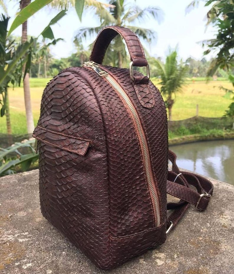 K&ouml;nnte beinhalten: Ein dunkelbrauner Rucksack mit texturiertem Schlangenledermuster. Die Tasche verf&uuml;gt &uuml;ber einen Tragegriff, einen vertikalen silberfarbenen Rei&szlig;verschluss an der Seite und eine kleinere horizontale Rei&szlig;verschlusstasche auf der Vorderseite.