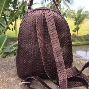 K&ouml;nnte beinhalten: Ein dunkelbrauner Rucksack mit einem strukturierten Schlangenhautmuster auf der gesamten Au&szlig;enseite. Die Tasche verf&uuml;gt &uuml;ber einen Tragegriff, zwei verstellbare Schultergurte und silberfarbene Metallbeschl&auml;ge zur Befestigung der Riemen.
