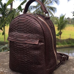 May include: A dark brown backpack featuring a textured snakeskin pattern across the entire exterior. The bag includes a top handle, a front zippered pocket with a flap, and adjustable shoulder straps with metal buckles and a main zipper closure.