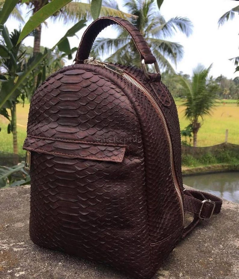 K&ouml;nnte beinhalten: Ein dunkelbrauner Rucksack mit einer strukturierten Schlangenhaut-Optik auf der gesamten Au&szlig;enseite. Die Tasche verf&uuml;gt &uuml;ber einen Tragegriff, eine vordere Rei&szlig;verschlusstasche mit Klappe sowie verstellbare Schultergurte mit Metallschnallen und Rei&szlig;verschluss.