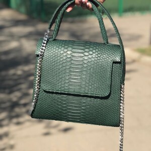 May include: A dark green handbag with a textured snakeskin pattern, featuring a structured flap closure, a top handle, and a detachable silver-tone metal chain shoulder strap. The bag has a rectangular shape with a smooth, uniform finish.