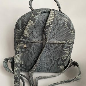 Pu&ograve; includere: Uno zaino con motivo a pelle di serpente grigio e bianco, caratterizzato da una parte superiore arrotondata, un manico superiore e spallacci regolabili. La borsa include una tasca orizzontale con cerniera sul retro con un piccolo cursore in metallo.