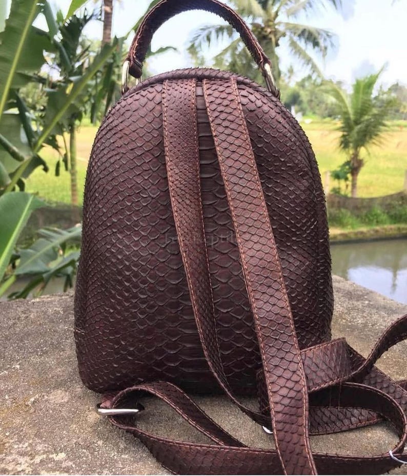 K&ouml;nnte beinhalten: Ein dunkelbrauner Rucksack mit einem strukturierten Schlangenledermuster auf der gesamten Au&szlig;enseite. Die Tasche verf&uuml;gt &uuml;ber einen Tragegriff, zwei verstellbare Schultergurte und silberfarbene Metallbeschl&auml;ge, die die Riemen mit dem Korpus verbinden.