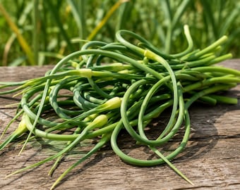 Organic Garlic Scapes Greens - Robust Flavor - Use with Salads - Cooking - Grilling