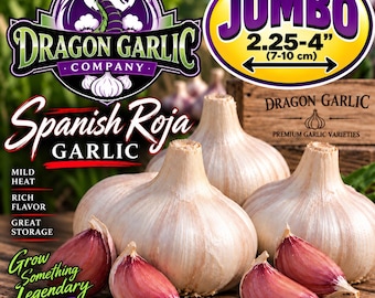 May include: Several whole white garlic bulbs and individual reddish-purple cloves are arranged on a wooden surface. Text includes Dragon Garlic Company, Spanish Roja Garlic, Jumbo 2.25-4 inches, Mild Heat, Rich Flavor, Great Storage, and Grow Something Legendary.