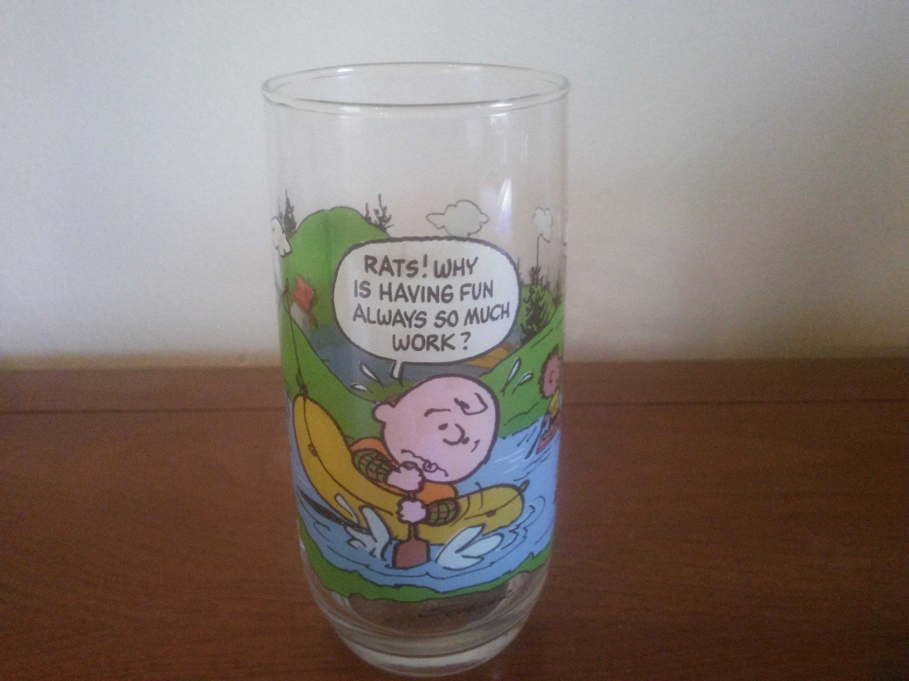 Vintage Mcdonald's Camp Snoopy Collection Glass Camp - Etsy