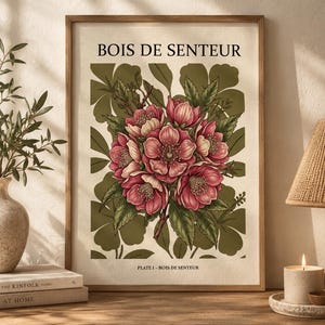 Peut inclure: Une affiche murale rectangulaire dans un cadre en bois représentant une illustration botanique de fleurs roses sur un fond de feuilles vert olive foncé. Le texte BOIS DE SENTEUR est imprimé en haut et PLATE I - BOIS DE SENTEUR en bas.