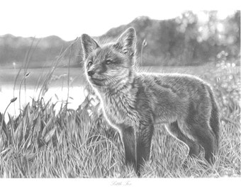 Fox Limited Edition Art Print, Country Art Print, British Art, Fox Home Decor, Wildlife Animal Art, Black and White Animal Art, Giclee Print