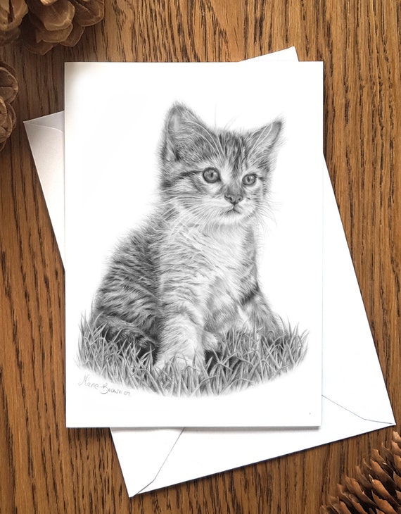 Katzchen Gruss Karte Katze Bleistift Zeichnung Geschenk Fur Etsy