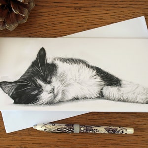 Black and White Cat Greetings Card - a Perfect Gift for Cat Lovers, Cat Art,  Cat Pencil Drawing, Animal Art Card, Any Occasion Card