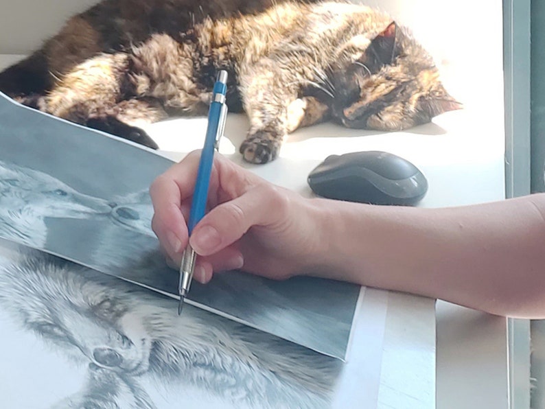 marie brown animal artist drawing a fox