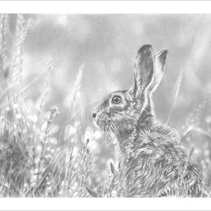 Hare Print, Fine Art Giclee Limited Edition, Drawing of a Hare, British Wildlife Art, Pencil Drawing Print, Gift for Wildlife Lover.