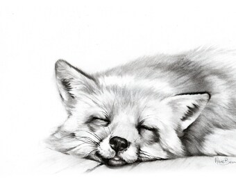 Fox Animal Art Print, Woodland Animal Artwork in Charcoal, A4 Wildlife Art, Fox Gift, British Wildlife, Animal Lover Art, Wildlife Drawing