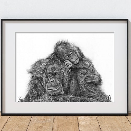 Orangutan gift Primate art Orangutan  Wall Art Orangutan Pencil Drawing Art Print Orangutan Picture