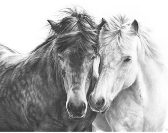 Black and White Horse Wall Art, Horse Art Print, Equine Art, Horses in Love, Modern Black & White Print, Horse Lover Gift