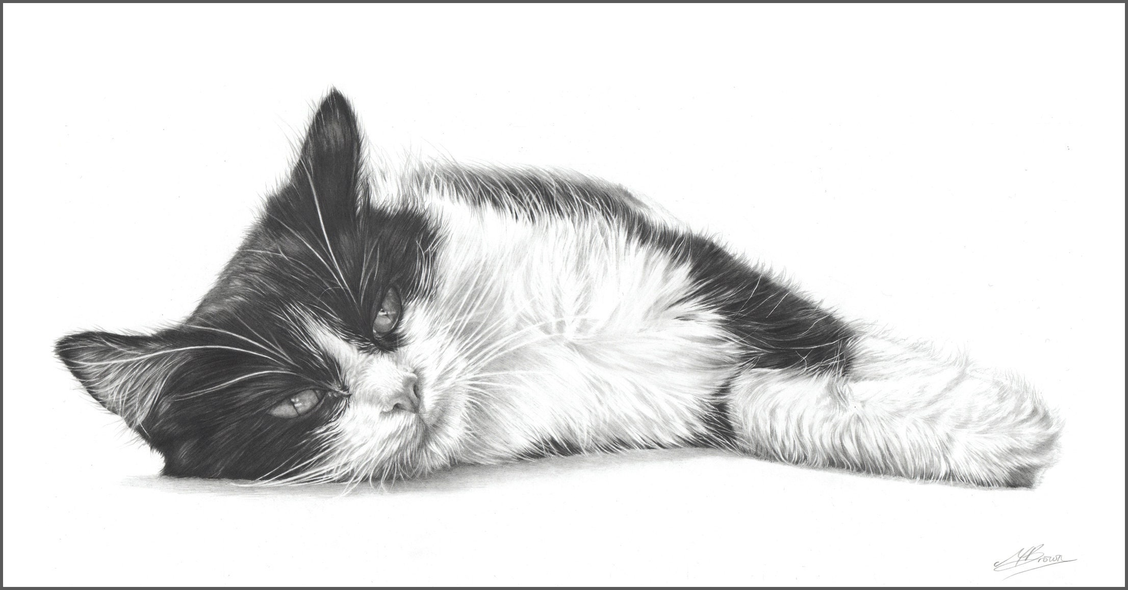 How to Draw a Realistic Cat - Really Easy Drawing Tutorial