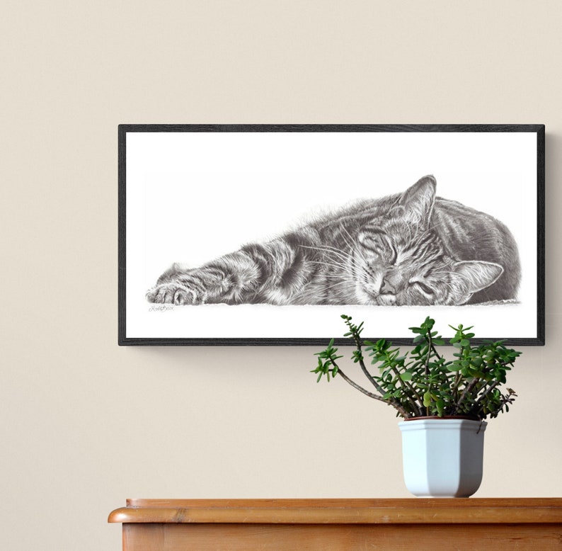 framed tabby cat pencil drawing wall art print