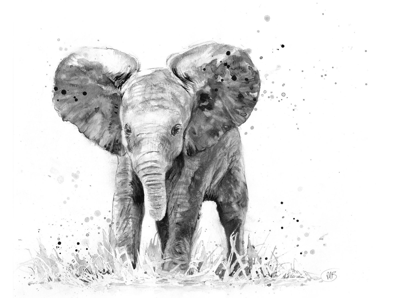 Baby Elephant Art Print Elephant Sketch Elephant Lovers Etsy