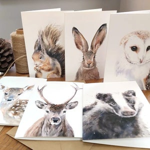 Cartes de voeux beaux-arts animaliers, lot de 6 cartes animaux sauvages britanniques, animaux et vie sauvage, cartes spéciales, cartes d'art animalier, intérieur vierge.