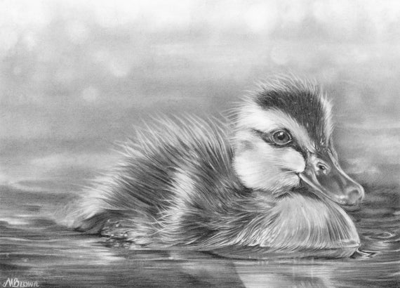 duckling drawings