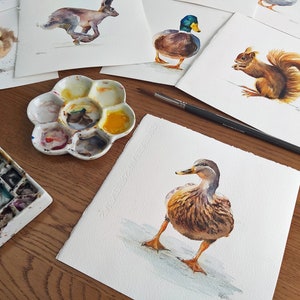 female Mallard ducks watercolour painting