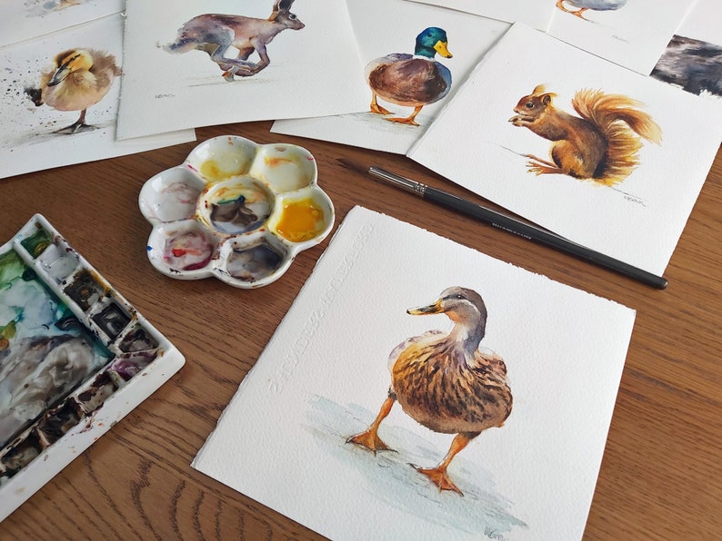 female Mallard ducks watercolour painting