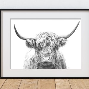 May include: Black and white pencil drawing of a Highland cow with long, shaggy fur and large horns. The cow is looking directly at the viewer.