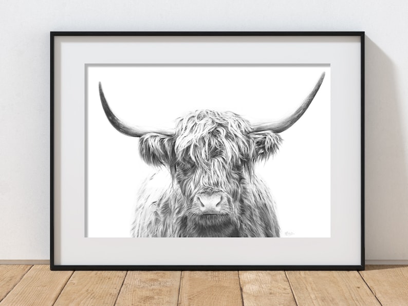 May include: Black and white pencil drawing of a Highland cow with long, shaggy fur and large horns. The cow is looking directly at the viewer.